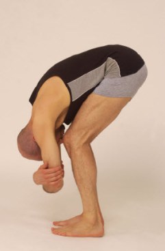 utanasana 2
