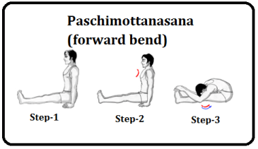 paschimotanasana